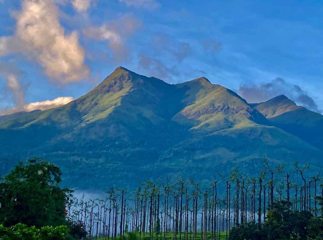 Jungle Valley Ayurvedic Spa Resort Meppādi Eksteriør bilde