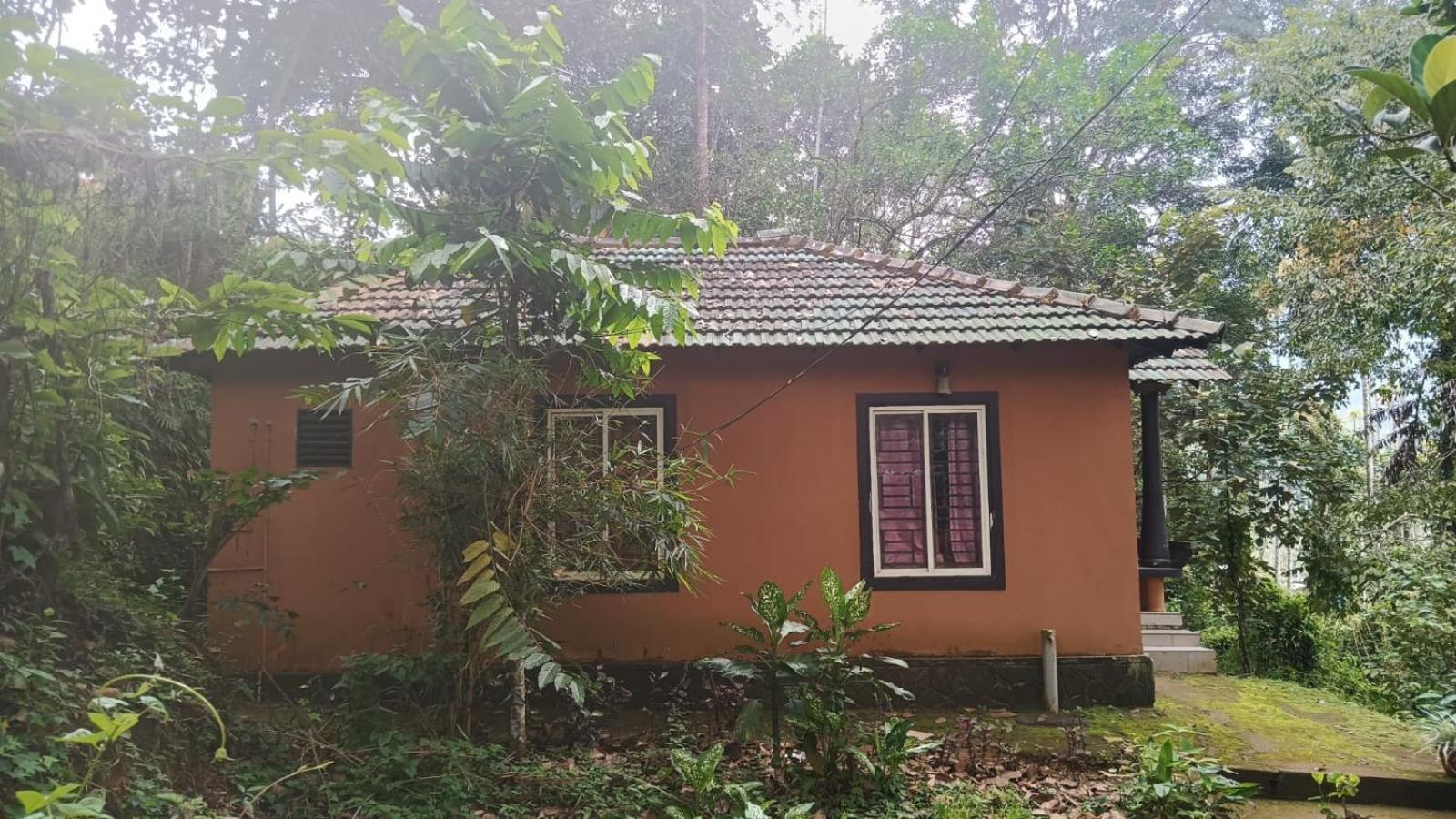 Jungle Valley Ayurvedic Spa Resort Meppādi Eksteriør bilde