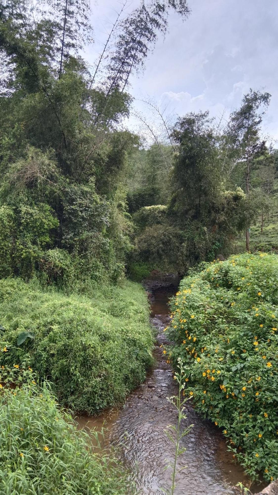 Jungle Valley Ayurvedic Spa Resort Meppādi Eksteriør bilde