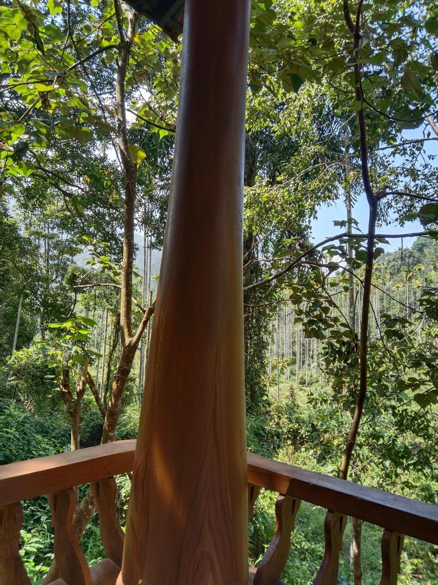 Jungle Valley Ayurvedic Spa Resort Meppādi Eksteriør bilde