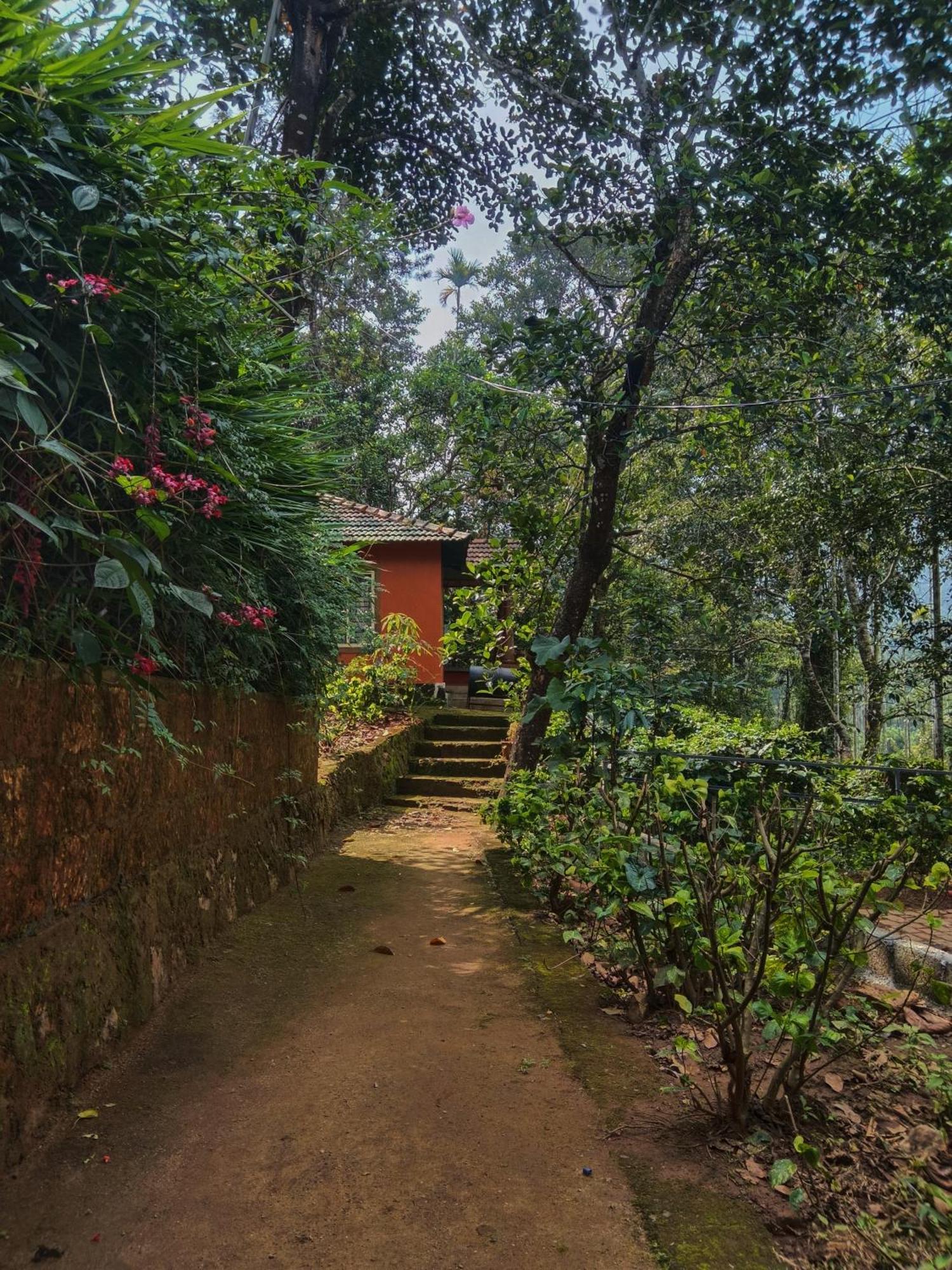 Jungle Valley Ayurvedic Spa Resort Meppādi Eksteriør bilde