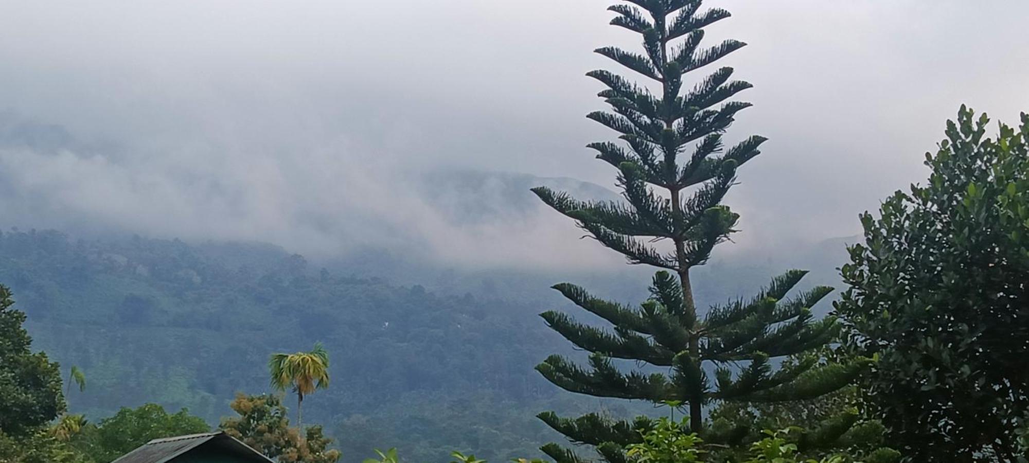 Jungle Valley Ayurvedic Spa Resort Meppādi Eksteriør bilde