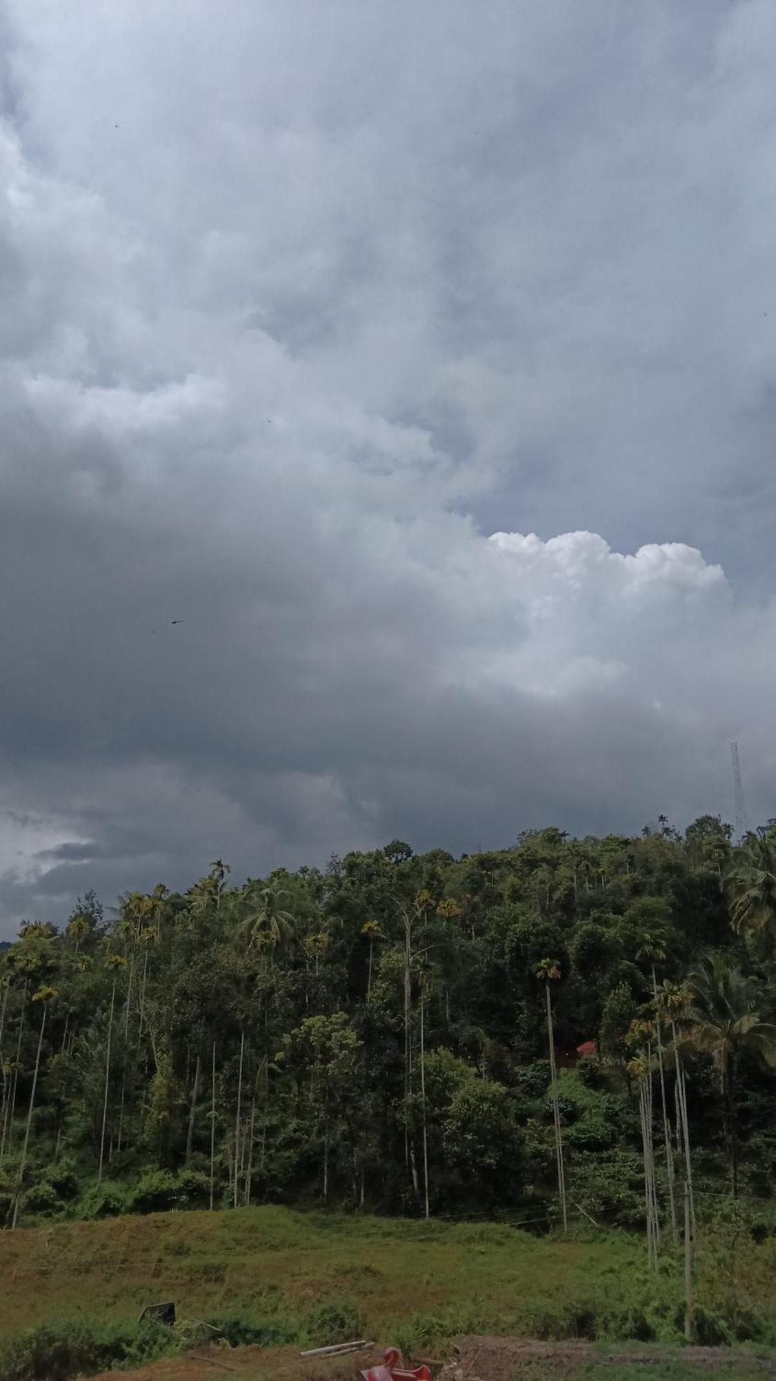 Jungle Valley Ayurvedic Spa Resort Meppādi Eksteriør bilde