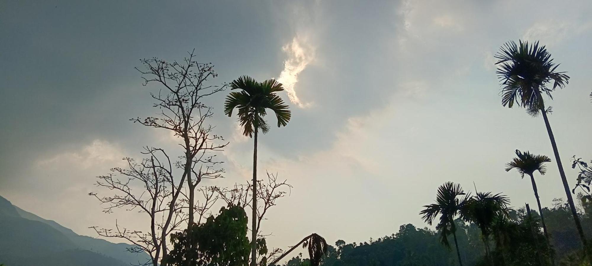 Jungle Valley Ayurvedic Spa Resort Meppādi Eksteriør bilde