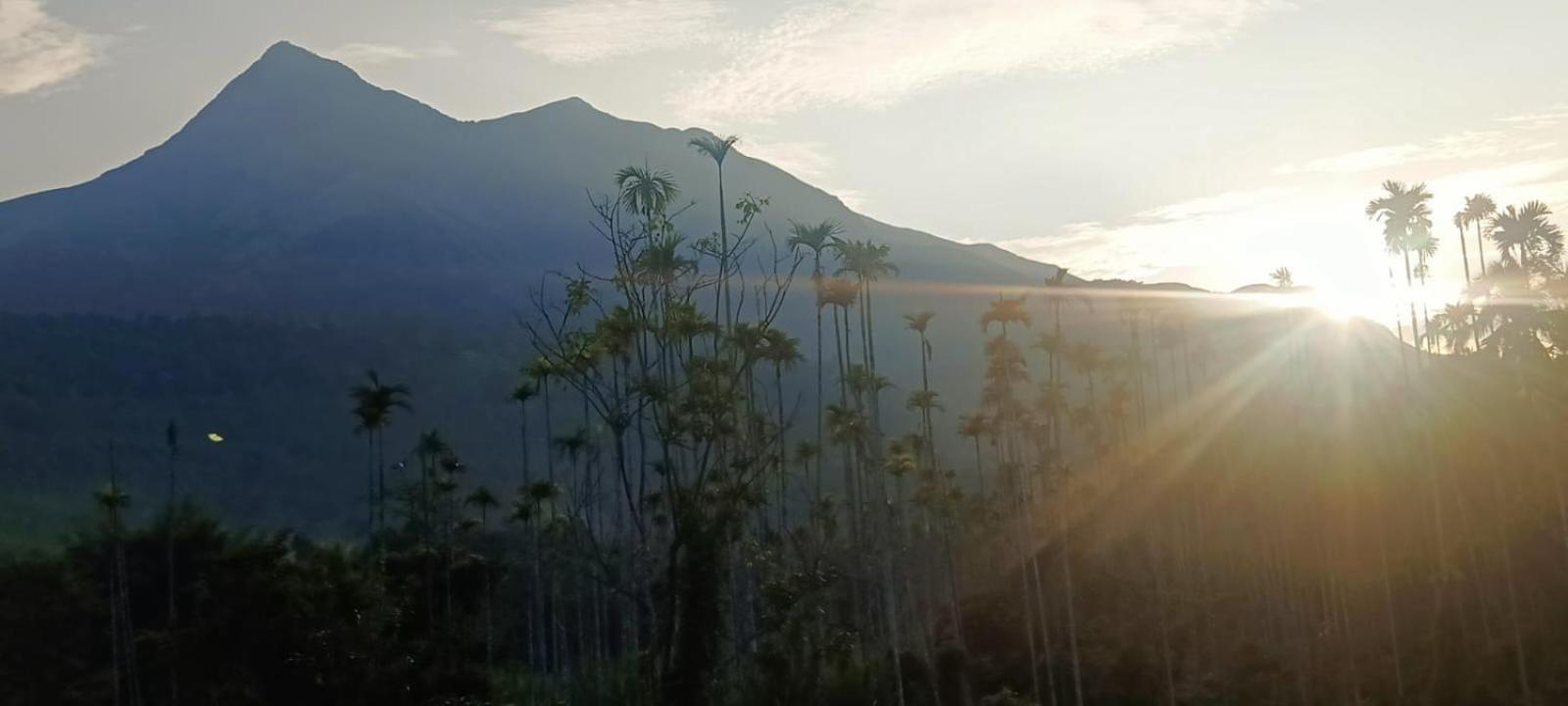 Jungle Valley Ayurvedic Spa Resort Meppādi Eksteriør bilde