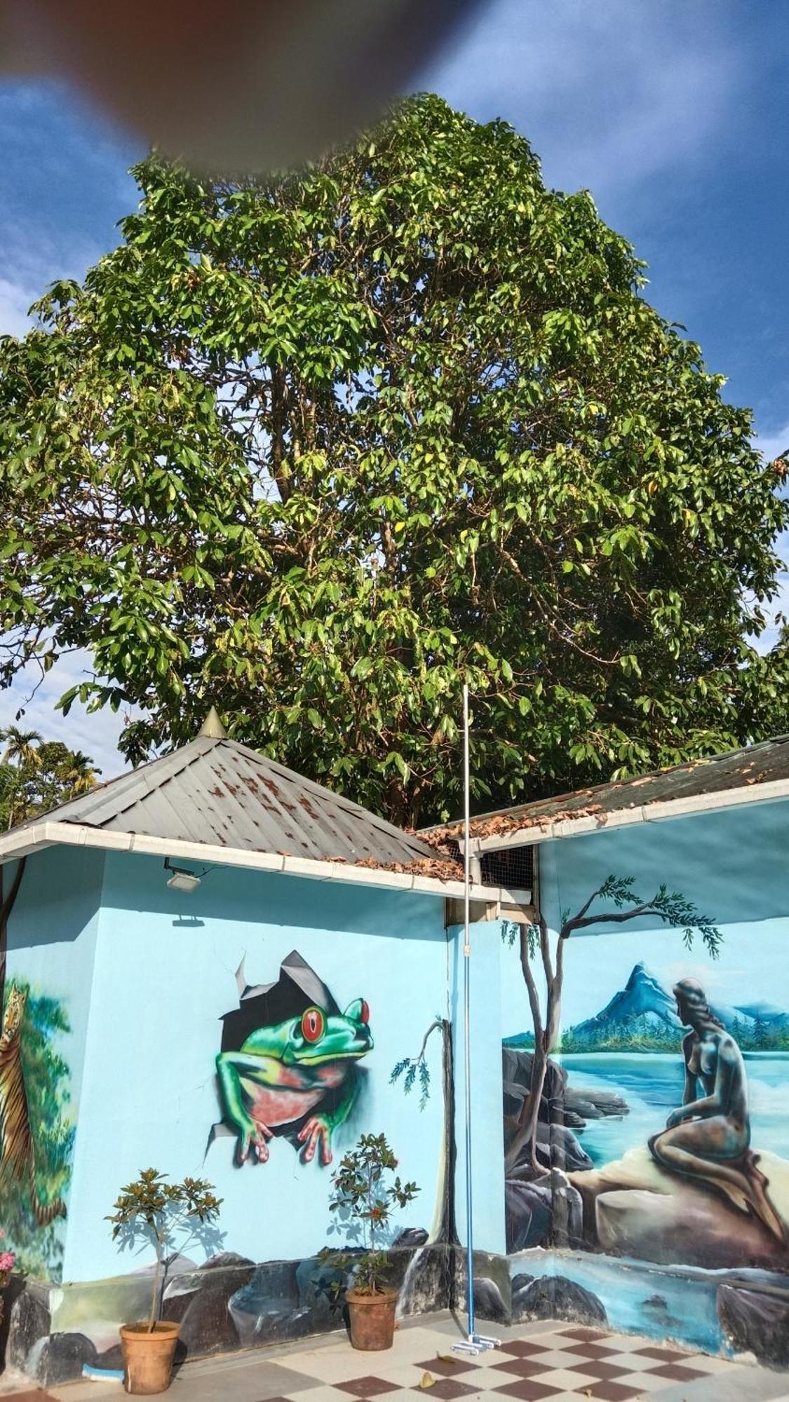 Jungle Valley Ayurvedic Spa Resort Meppādi Eksteriør bilde