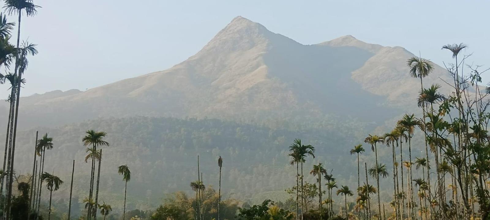 Jungle Valley Ayurvedic Spa Resort Meppādi Eksteriør bilde